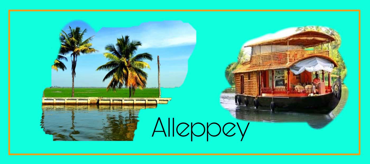 alleppy tours 